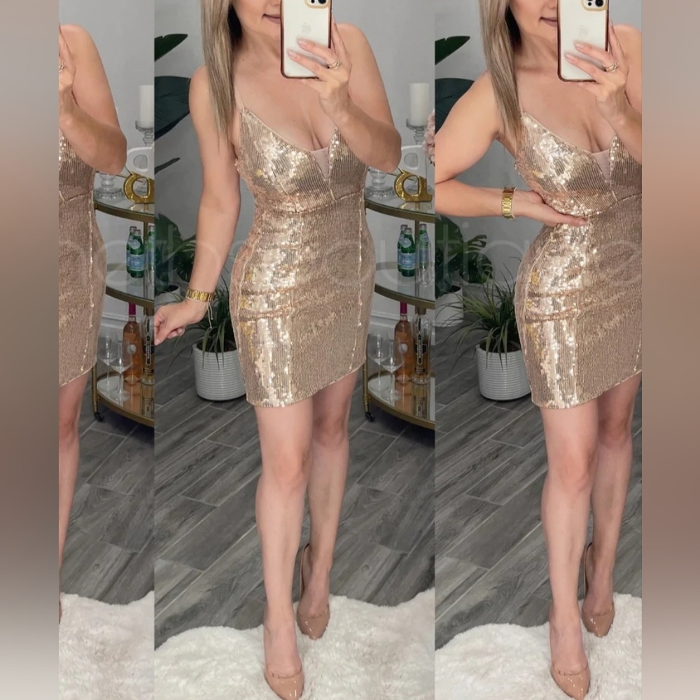 Gold Nude Pungle Mesh Sequence Mini Dress M